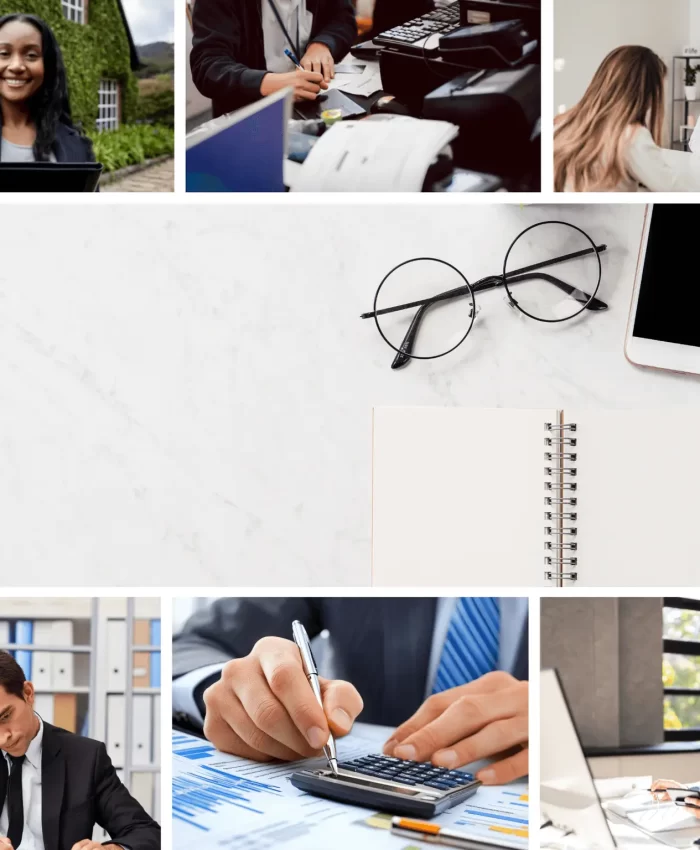 Professional Services IT Support